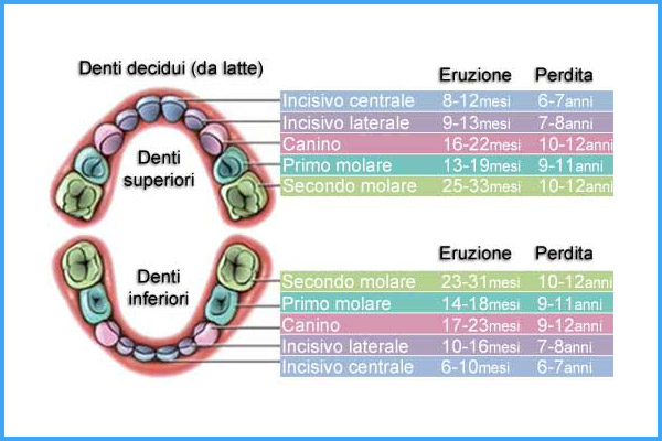 Studio Dentistico Gerboni - I denti da latte